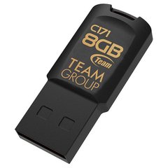 Flash память TEAM 8 GB C171 Black (TC1718GB01) фото