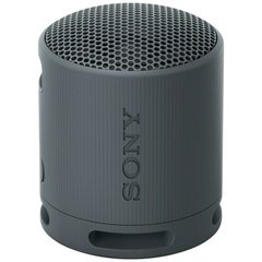 Портативная колонка Sony SRS-XB100 Black (SRSXB100B) фото