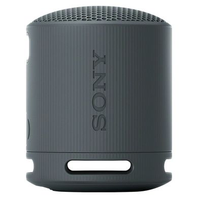 Портативная колонка Sony SRS-XB100 Black (SRSXB100B) фото