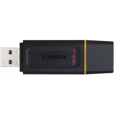 Flash пам'ять Kingston 128GB DataTraveler Exodia (DTX/128GB) фото