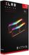 PNY XLR8 Gaming EPIC-X RGB 16GB (2x8) DDR4 3200MHz (MD16GK2D4320016XRGB) детальні фото товару