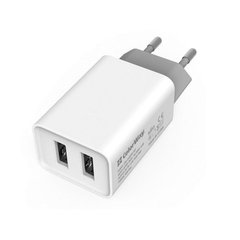 Зарядное устройство ColorWay 2 USB AUTO ID 2.1A (10W) White (CW-CHS015-WT) фото