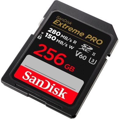 Карта памяти SanDisk 256 GB SDXC Extreme Pro UHS-II U3 V60 Class 10 (SDSDXEP-256G-GN4IN) фото