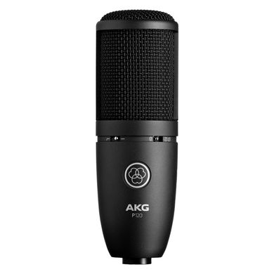 Микрофон AKG P120 фото