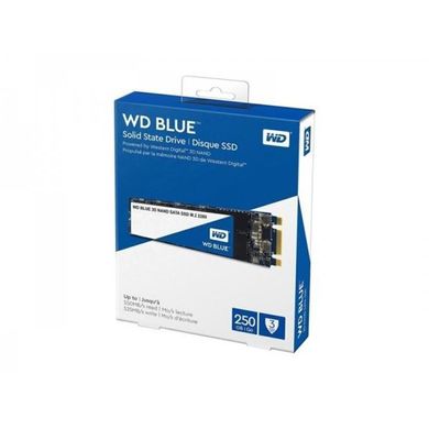 SSD накопичувач WD SSD Blue M.2 250 GB (S250G2B0B) фото