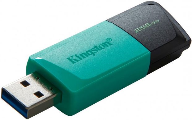 Flash память Kingston 256 GB DataTraveler Exodia M USB 3.2 Teal (DTXM/256GB) фото