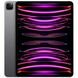 Apple iPad Pro 11 2022 Wi-Fi + Cellular 128GB Space Gray (MP553, MNYC3) подробные фото товара