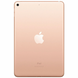 Apple iPad mini 5 Wi-Fi + Cellular 64GB Gold (MUXH2, MUX72) подробные фото товара