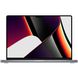Apple MacBook Pro 16" Space Gray 2021 (Z14W0010F) подробные фото товара