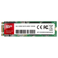 SSD накопичувач Silicon Power M55 120 GB (SP120GBSS3M55M28) фото