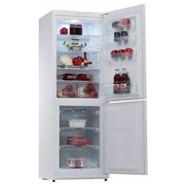 Холодильники Snaige RF31SM-S0002E фото