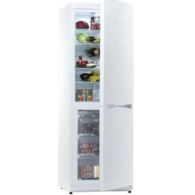 Холодильники Snaige RF31SM-S0002E фото