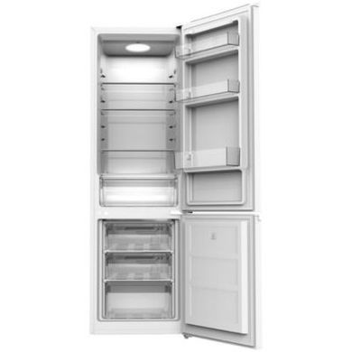 Холодильники Edler ED-358DBW фото