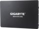 Gigabyte 1Tb (GP-GSTFS31100TNTD) подробные фото товара