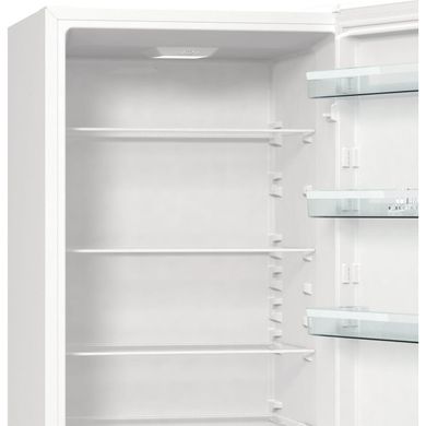 Холодильники Gorenje RK6201EW4 фото