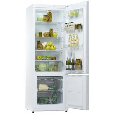 Холодильники Snaige RF32SM-S0002F фото