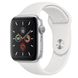 Apple Watch Series 5 GPS 44mm Silver Aluminum w. White b.- Silver Aluminum (MWVD2)