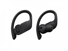 Навушники Beats Powerbeats Pro Totally Wireless Earphones Black (MY582) фото