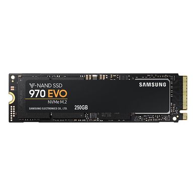 SSD накопичувач Samsung 970 EVO 250 GB (MZ-V7E250BW) фото