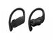 Beats Powerbeats Pro Totally Wireless Earphones Black (MY582) подробные фото товара