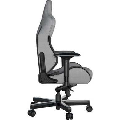 Геймерське (Ігрове) Крісло Anda Seat T-Pro 2 XL gray/black (AD12XLLA-01-GB-F) фото