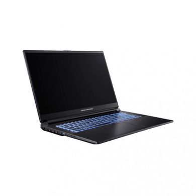 Ноутбук Dream Machines G1650-17 (G1650-17UA87) фото