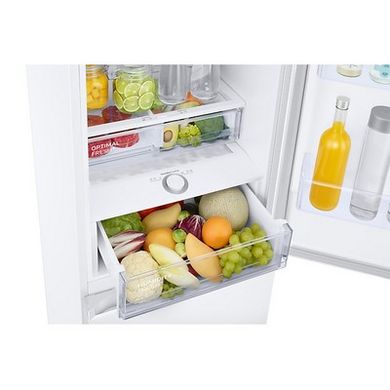 Холодильники SAMSUNG RB38T606 EWW фото