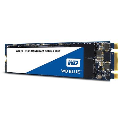 SSD накопитель WD SSD Blue M.2 1 TB (S100T2B0B) фото