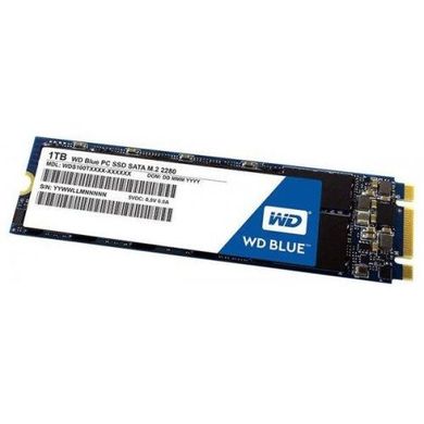 SSD накопичувач WD SSD Blue M.2 1 TB (S100T2B0B) фото