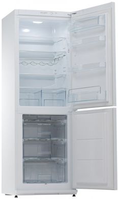 Холодильники Snaige RF31SM-S0002F фото