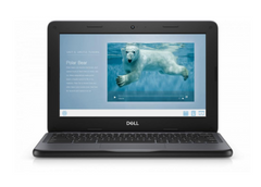 Ноутбук Dell Chromebook 11 3100 (FFC4F) фото