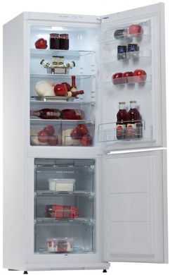 Холодильники Snaige RF31SM-S0002F фото