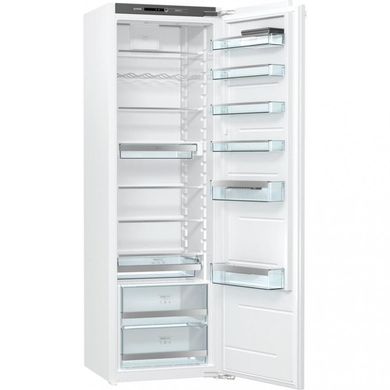 Вбудовані холодильники Gorenje RI2181A1 фото