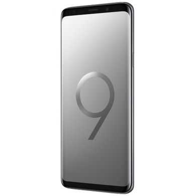 Смартфон Samsung Galaxy S9+ SM-G965 DS 64GB Grey (SM-G965FZAD) фото