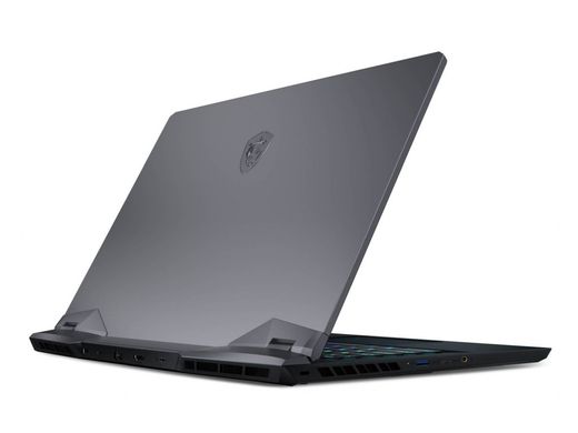 Ноутбук MSI GE66 Raider 11UH (11UG-070US) фото