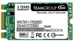 SSD накопичувач TEAM Lite M.2 256 GB (TM4PS5256GMC101) фото