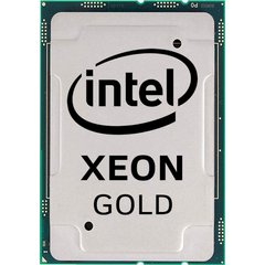 Intel Xeon Gold 6208U (CD8069504449101SRGZD)