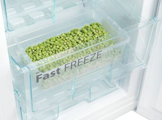 Холодильники Snaige RF53SM-S5JJ2F фото