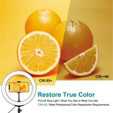 Обладнання для фотостудій Puluz Ring USB LED lamp 10"+ tripod 1.1m (PKT3053B) фото