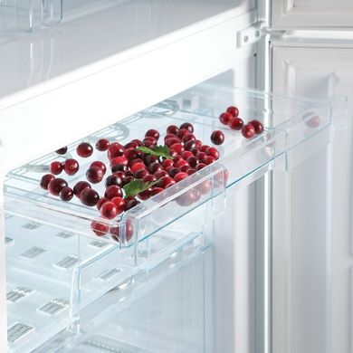 Холодильники Snaige RF56SM-S5JJ2F фото