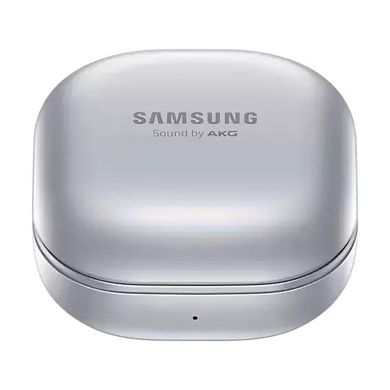 Наушники Samsung Galaxy Buds Pro Silver (SM-R190NZSASEK) фото