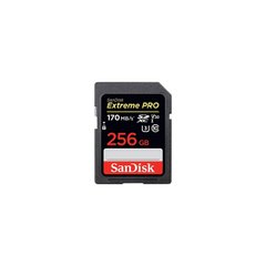 Карта памяти SanDisk SD 256GB C10 UHS-I U3 Extreme Pro V30 (SDSDXXD-256G-GN4IN) фото