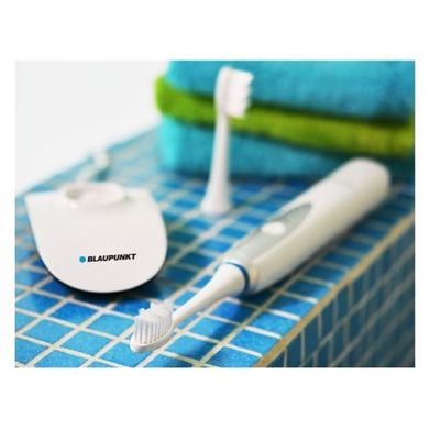 Електричні зубні щітки Blaupunkt DTS601 фото
