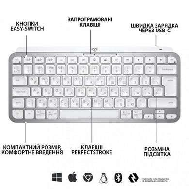 Клавіатура Logitech MX Keys Mini Minimalist US Pale Grey (920-010499) фото
