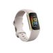 Fitbit Charge 5 Platinum Stainless Steel/Lunar White Band
