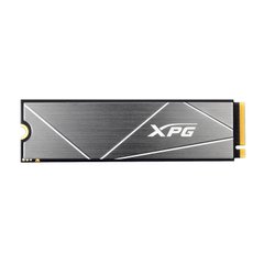 SSD накопитель ADATA XPG Gammix S50 Lite 1 TB (AGAMMIXS50L-1T-C) фото