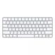 Apple Magic Keyboard with Touch ID for Mac models with Apple silicon (MK293) подробные фото товара