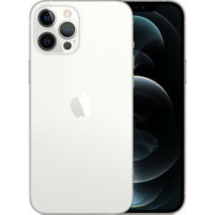Смартфон Apple iPhone 12 Pro Max 256GB Dual Sim Silver (MGC53) фото