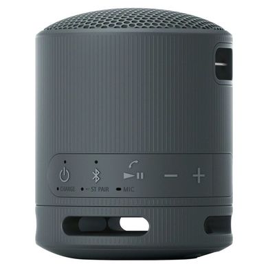 Портативная колонка Sony SRS-XB100 Grey (SRSXB100H.CE7) фото