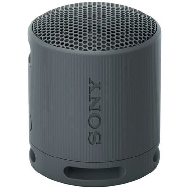 Портативная колонка Sony SRS-XB100 Grey (SRSXB100H.CE7) фото